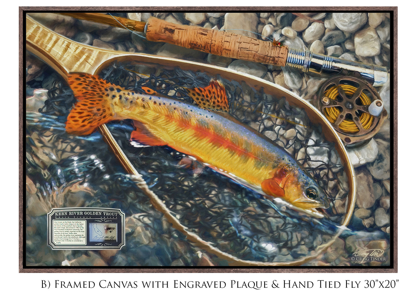 Kern River Golden Trout - Framed Canvas Shadowbox Art-Art Print-Aces In Action: The Workshop of Artist Craig Tinder
