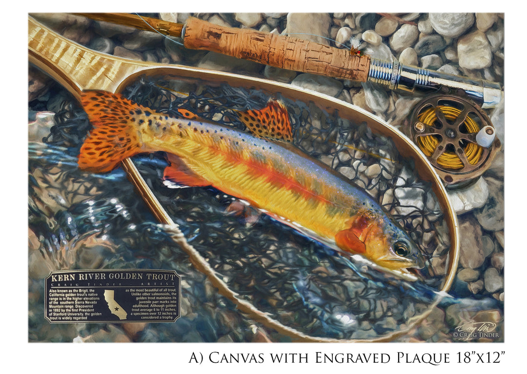 Kern River Golden Trout - Framed Canvas Shadowbox Art-Art Print-Aces In Action: The Workshop of Artist Craig Tinder