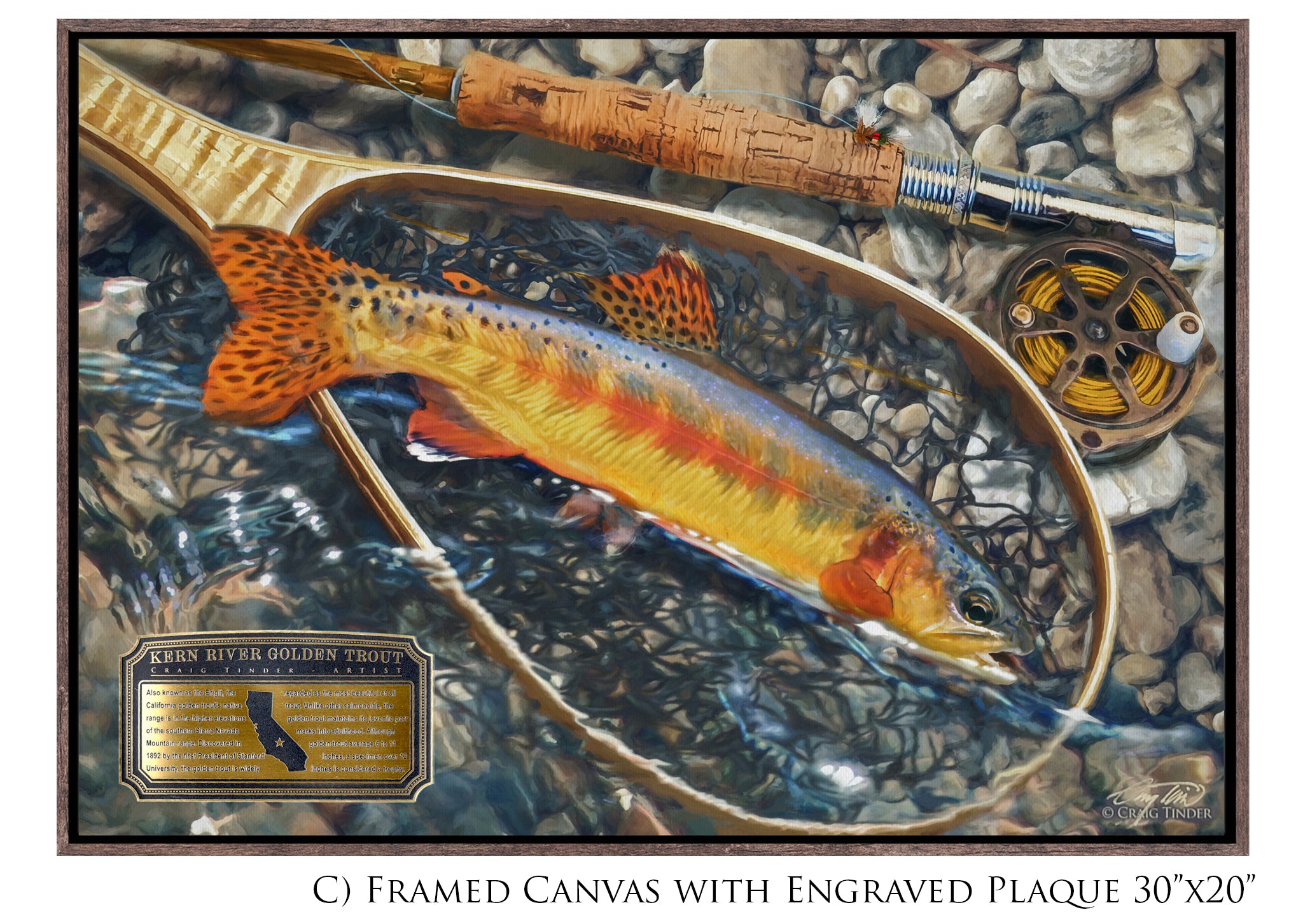 Kern River Golden Trout - Framed Canvas Shadowbox Art-Art Print-Aces In Action: The Workshop of Artist Craig Tinder