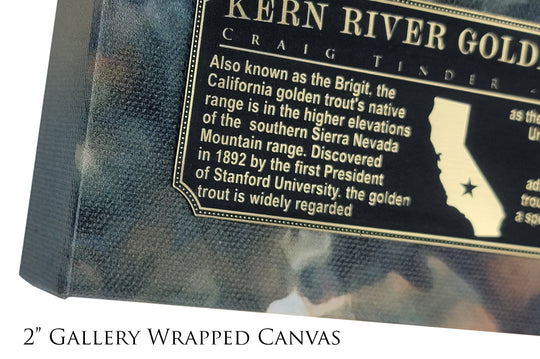 Kern River Golden Trout - Framed Canvas Shadowbox Art-Art Print-Aces In Action: The Workshop of Artist Craig Tinder