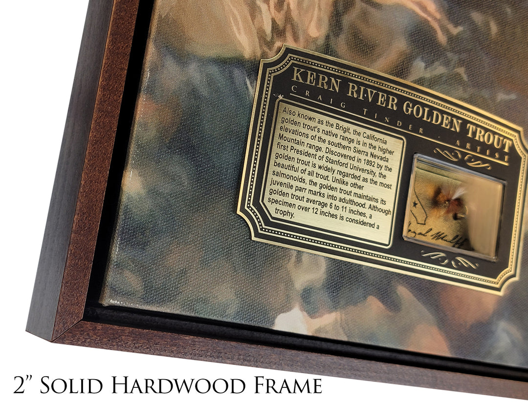 Kern River Golden Trout - Framed Canvas Shadowbox Art-Art Print-Aces In Action: The Workshop of Artist Craig Tinder