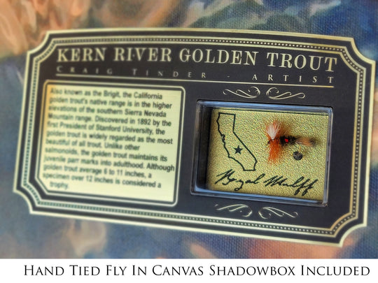 Kern River Golden Trout - Framed Canvas Shadowbox Art-Art Print-Aces In Action: The Workshop of Artist Craig Tinder