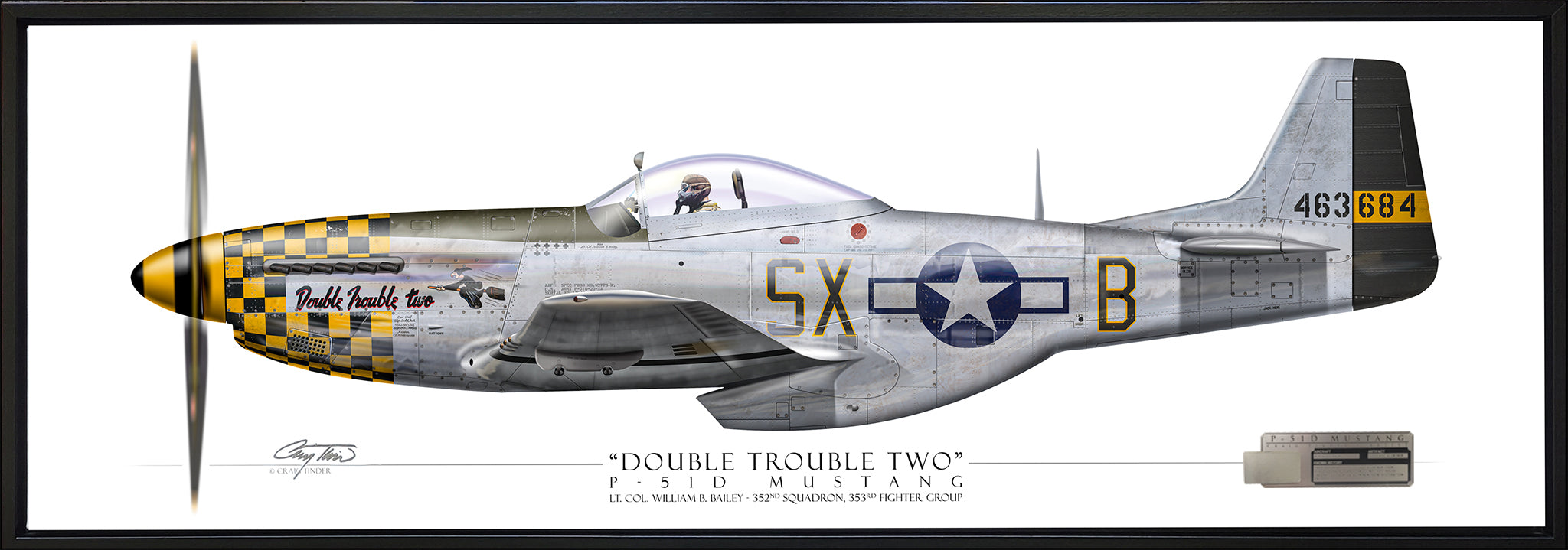 P-51D Mustang "Double Trouble Two" - Panoramic Aviation Art - Profile-Art Print-Aces In Action: The Workshop of Artist Craig Tinder