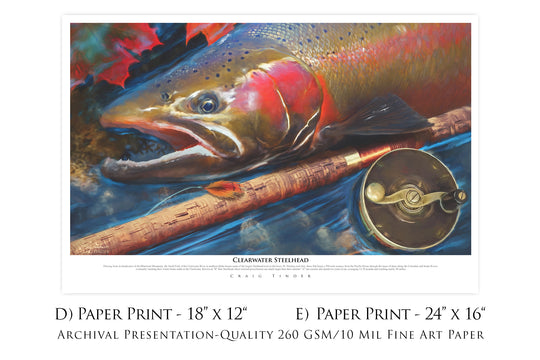 Clearwater Steelhead - Framed Canvas Shadowbox Art-Art Print-Aces In Action: The Workshop of Artist Craig Tinder