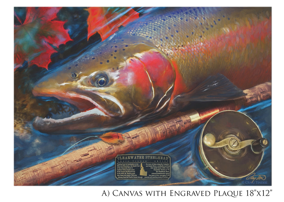 Clearwater Steelhead - Framed Canvas Shadowbox Art-Art Print-Aces In Action: The Workshop of Artist Craig Tinder