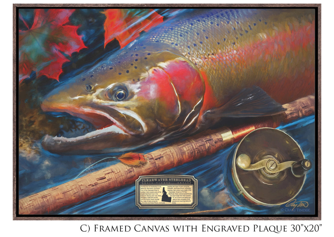 Clearwater Steelhead - Framed Canvas Shadowbox Art-Art Print-Aces In Action: The Workshop of Artist Craig Tinder