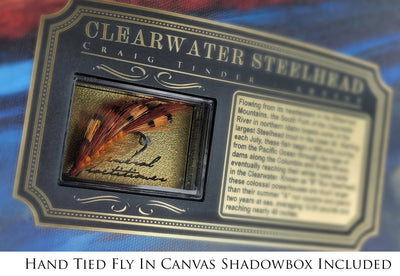 Clearwater Steelhead - Framed Canvas Shadowbox Art-Art Print-Aces In Action: The Workshop of Artist Craig Tinder