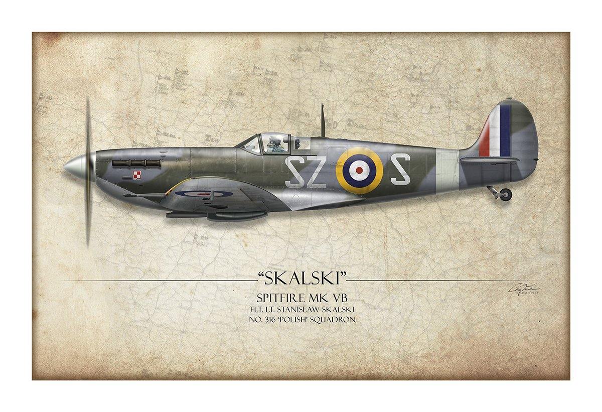 Polish Spitfire Mk V Aviation Art Print - Profile-Art Print-Aces In Action: The Workshop of Artist Craig Tinder